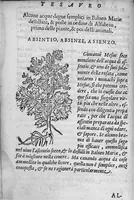 Picture 2 of 8 from Tesauro di Evonomo Filatro de rimedii secreti. Lib. fisico e medicinale, ... (1588), leaf 35