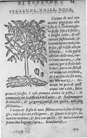 Picture 4 of 8 from Tesauro di Evonomo Filatro de rimedii secreti. Lib. fisico e medicinale, ... (1588), leaf 46