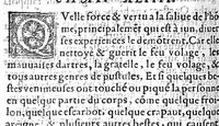 An illustration from Les secrets miracles de nature, et divers enseignemens de plusieurs choses, par raison probable et utile conjecture expliquez en deux livres, Par Levin Lemne, Medecin de Zirizee : et nouvellement traduits en François : Ensemble deux Indices, l’un contenant les sommaires des chapitres, l’autre les matieres contenues au present traité (1566)