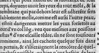 An illustration from De l’usage des parties du corps humain, Livres XVII. Escripts par Claude Galien, et traduicts fidellement du Grec en François (1566)
