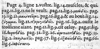 An illustration from La dissection des muscles de Claude Galien, Livres deux, (1564)