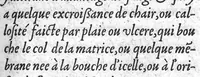 An illustration from Deux livres de chirurgie, I. De la generation de l’homme, et maniere d’extraire les enfans hors du ventre de la mere, ensemble ce qu’il faut faire pour la faire mieux, et plus tost accoucher, avec la cure de plusieurs maladies qui luy peuvent survenir. 2. Des monstres tant terrestres que marins, avec leurs portrait. Plus un petit traité des plaies faites aux parties nerveuses. Par Ambroise Paré, premier Chirurgien du Roy, et juré à Paris, (1573)