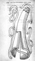 An illustration from Deux livres de chirurgie, I. De la generation de l’homme, et maniere d’extraire les enfans hors du ventre de la mere, ensemble ce qu’il faut faire pour la faire mieux, et plus tost accoucher, avec la cure de plusieurs maladies qui luy peuvent survenir. 2. Des monstres tant terrestres que marins, avec leurs portrait. Plus un petit traité des plaies faites aux parties nerveuses. Par Ambroise Paré, premier Chirurgien du Roy, et juré à Paris, (1573)