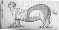 An illustration from Deux livres de chirurgie, I. De la generation de l’homme, et maniere d’extraire les enfans hors du ventre de la mere, ensemble ce qu’il faut faire pour la faire mieux, et plus tost accoucher, avec la cure de plusieurs maladies qui luy peuvent survenir. 2. Des monstres tant terrestres que marins, avec leurs portrait. Plus un petit traité des plaies faites aux parties nerveuses. Par Ambroise Paré, premier Chirurgien du Roy, et juré à Paris, (1573)