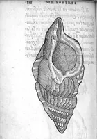 An illustration from Deux livres de chirurgie, I. De la generation de l’homme, et maniere d’extraire les enfans hors du ventre de la mere, ensemble ce qu’il faut faire pour la faire mieux, et plus tost accoucher, avec la cure de plusieurs maladies qui luy peuvent survenir. 2. Des monstres tant terrestres que marins, avec leurs portrait. Plus un petit traité des plaies faites aux parties nerveuses. Par Ambroise Paré, premier Chirurgien du Roy, et juré à Paris, (1573)