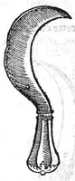 An illustration from La maniere de traicter les playes faictes tant par hacquebutes, que par fleches : et les accidentz d’icelles, comme fractures et caries des os, gangrene et mortification : avec les pourtraictz des instrumentz necessaires pour leur curation. Et la methode de curer les combustions principalement faictes par la pouldre à canon. Le tout composé par Ambroise Paré, maistre Barbier Chirurgien à Paris (1552)