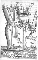 An illustration from La maniere de traicter les playes faictes tant par hacquebutes, que par fleches : et les accidentz d’icelles, comme fractures et caries des os, gangrene et mortification : avec les pourtraictz des instrumentz necessaires pour leur curation. Et la methode de curer les combustions principalement faictes par la pouldre à canon. Le tout composé par Ambroise Paré, maistre Barbier Chirurgien à Paris (1552)