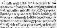 An illustration from La maniere de traicter les playes faictes tant par hacquebutes, que par fleches : et les accidentz d’icelles, comme fractures et caries des os, gangrene et mortification : avec les pourtraictz des instrumentz necessaires pour leur curation. Et la methode de curer les combustions principalement faictes par la pouldre à canon. Le tout composé par Ambroise Paré, maistre Barbier Chirurgien à Paris (1552)