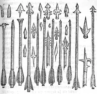 An illustration from La maniere de traicter les playes faictes tant par hacquebutes, que par fleches : et les accidentz d’icelles, comme fractures et caries des os, gangrene et mortification : avec les pourtraictz des instrumentz necessaires pour leur curation. Et la methode de curer les combustions principalement faictes par la pouldre à canon. Le tout composé par Ambroise Paré, maistre Barbier Chirurgien à Paris (1552)