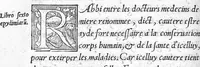 An illustration from La Practique de Maistre Pierre Bocellin, chyrurgien et citoyen de la noble cité de Belleys en Savoye, sur la matière de la contagieuse et infective maladie de lèpre (1540)