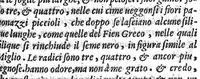 An illustration from Semplici dell' eccellente M. Luigi Anguillara, liquali in piu pareri a diuersi nobili huomini scritti appaiono, et nuouamente da M. Giovanni Marinello mandati in luce (1551)