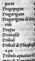An illustration from Semplici dell' eccellente M. Luigi Anguillara, liquali in piu pareri a diuersi nobili huomini scritti appaiono, et nuouamente da M. Giovanni Marinello mandati in luce (1551)