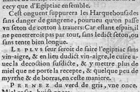 An illustration from Traicté de la nature et curation des playes de Pistolle, Harquebouse, et autres bastons à feu. Ensemble, les remedes des combustions et bruslures externes et superficielles : Par J. Le P. Docteur en Medecine (1569)