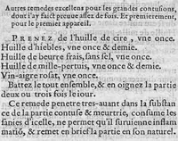 Picture 5 of 6 from Traicté de la nature et curation des playes de Pistolle, Harquebouse, et autres bastons à feu. Ensemble, les remedes des combustions et bruslures externes et superficielles : Par J. Le P. Docteur en Medecine (1569), leaf 90