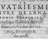 An illustration from L'Anatomie françoise en forme d'abregé. (1642)