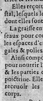 An illustration from L'Anatomie françoise en forme d'abregé. (1642)