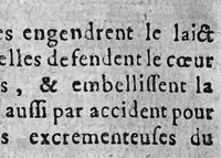 An illustration from L'Anatomie françoise en forme d'abregé. (1642)
