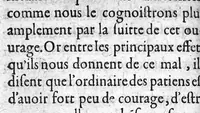 An illustration from L'Hospital des fols incurables... (1620)