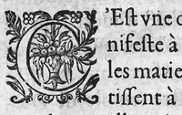 An illustration from L'Hospital des fols incurables... (1620)