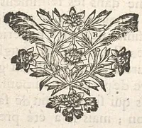 An illustration from Observations sur les maladies vénériennes, et sur des remedes qui les gueriffent promptement, feurement & facilement. Par M. de Blegny, Confeiller Medecin ordinaire de Monfieur, préposé par ordre du Roy à la recherche & verification des nouvelles découvertes de Medecine (1685)