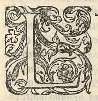 An illustration from De Capricci medicinali libri quattro. Di nuovo dall'istesso autore in molti luoghi, di secreti importantissimi, ampliati. Con molta diligenza revisti, corretti, & ristampati (1573)
