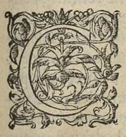 An illustration from Traicté de la dissolution du mariage par l'impuissance & la froideur de l'homme ou de la femme ; seconde edition revueue & augmentee (1595)