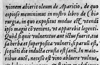 An illustration from Aromatum, fructuum, et simplicium aliquot medicamentorum ex India utraque, et Orientali et Occidentali, in Europam delatorum, quorum jam est usus plurimus, historia brevis ... Conscripta primum Hispanice ... nunc Latine edita opera et ac studio Israelis Spachii Med. D. & Prof. Argentineusis cum notis marginalibus atque indice (1601)