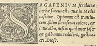 An illustration from Apparatus et delectus simplicium medicamentorum : De compositione medicamentorum secundum genera, ex Paulo Aegineta. De compositione medicamentorum secundum genera universalis methodus, ex Galeno. Omnia nunc primùm aedita, cùm medicis, tum pharmacopolis omnib. apprimè necessaria ... (1542)