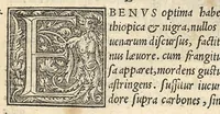 An illustration from Apparatus et delectus simplicium medicamentorum : De compositione medicamentorum secundum genera, ex Paulo Aegineta. De compositione medicamentorum secundum genera universalis methodus, ex Galeno. Omnia nunc primùm aedita, cùm medicis, tum pharmacopolis omnib. apprimè necessaria ... (1542)