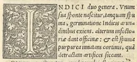 An illustration from Apparatus et delectus simplicium medicamentorum : De compositione medicamentorum secundum genera, ex Paulo Aegineta. De compositione medicamentorum secundum genera universalis methodus, ex Galeno. Omnia nunc primùm aedita, cùm medicis, tum pharmacopolis omnib. apprimè necessaria ... (1542)
