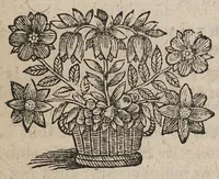 An illustration from Les Oeuvres...tant medicinales que chymiques, divisées en quatre principaux traitez...seconde édition (1661)