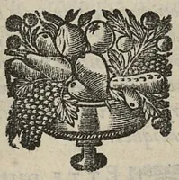 An illustration from Traité de la circulation des esprits animaux divisé en quatre parties par un religieux de la Congrégation de Saint-Maur (1682)