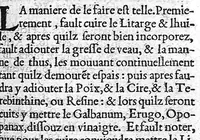 An illustration from Opuscules de divers autheurs medecins, redigez ensemble pour le proufit et utilité des Chirurgiens. Reveuz et corrigez de nouveau, avec leur Indice (1552)