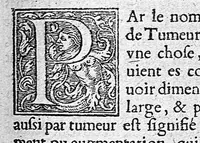 An illustration from Opuscules de divers autheurs medecins, redigez ensemble pour le proufit et utilité des Chirurgiens. Reveuz et corrigez de nouveau, avec leur Indice (1552)