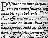 An illustration from Commentarii de sanitate tuenda in primum librum de Re medica Aurel. Cornelii Celsi (1558)