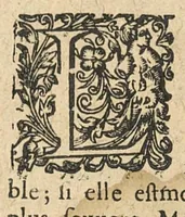 An illustration from Generale instruction et tres asseuree methode qu'il faut tenir en la consulte des maladies divisée en trois parties (1644)