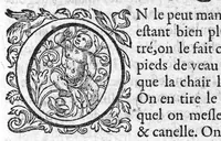 An illustration from Le Thresor de santé, ou mesnage de la vie humaine divisé en dix livres... (1607)