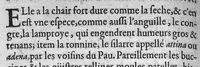An illustration from Le Thresor de santé, ou mesnage de la vie humaine divisé en dix livres... (1607)