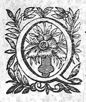 Picture 7 of 7 from Régime de l'école de Salerne, traduit et commenté par Michel Le Long (1637), leaf 602