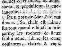 An illustration from Les règles de la santé, ou le véritable régime de vivre que l'on doit observer dans la santé et dans la maladie, et une table qui contient par alphabet les facultez et vertus de tous les alimens tirez des plantes et des animaux dont on use ordinairement, par A. P..... (1684)