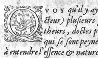 An illustration from Traitté de la peste composé en Latin par M. Laurent Joubert, conseiller et medecin ordinaire du Roy, et du roy de Navarre, premier docteur regent stipendié, Chancelier et Juge de l’université en Medecine de Mopelier. Plus une question de la paralysie, et deux paradoxes de la Revulsion, du mesme autheur, Traduits fidelement en françois par Guillaume Des Innocens, maistre juré en Chirurgie, de la ville de Tholose (1581)