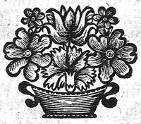 An illustration from La doctrine des raports de chirurgie fondée sur les maximes d'usage et sur la disposition des nouvelles ordonnances (1684)