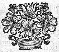 An illustration from La doctrine des raports de chirurgie fondée sur les maximes d'usage et sur la disposition des nouvelles ordonnances (1684)