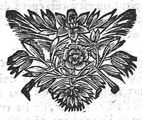 An illustration from Secrets concernant la beauté et la santé. Tome premier (1688)