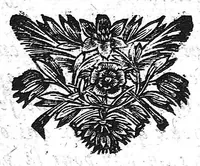 An illustration from Secrets concernant la beauté et la santé. Tome second. (1689)