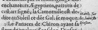 An illustration from Traicte sur la réfutation des abus mis en avant par Roc le Baillif, surnommé La Riviere, sur l'art signé et physiognomonie herbaire. Par lequel est monstré, combien est grande l’erreur qu’il introduict à la cognoissance des Plantes, et de leurs facultez. Auquel est adjousté un petit extraict de ce qu’on trouve de la vie de Paracelse. Par Marc Antoyne Prebonneaux Limosin, (1579)
