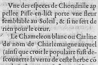 Picture 7 of 10 from Traicte sur la réfutation des abus mis en avant par Roc le Baillif, surnommé La Riviere, sur l'art signé et physiognomonie herbaire. Par lequel est monstré, combien est grande l’erreur qu’il introduict à la cognoissance des Plantes, et de leurs facultez. Auquel est adjousté un petit extraict de ce qu’on trouve de la vie de Paracelse. Par Marc Antoyne Prebonneaux Limosin, (1579), leaf 54