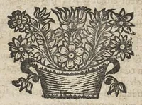 An illustration from Manuel anatomique et pathologique, ou abregé de toute l'anatomie...nouvelle edition corrigée & augmentée de la sixième partie... (1672)