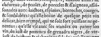 An illustration from Trois livres des maladies et infirmitez des femmes (1649)