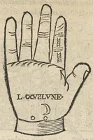 Picture 29 of 63 from La Chiromance et phisiognomie par le regard des membres de l'homme..., le tout mis en françois par Antoine du Moulin masconnois (1638), leaf 118